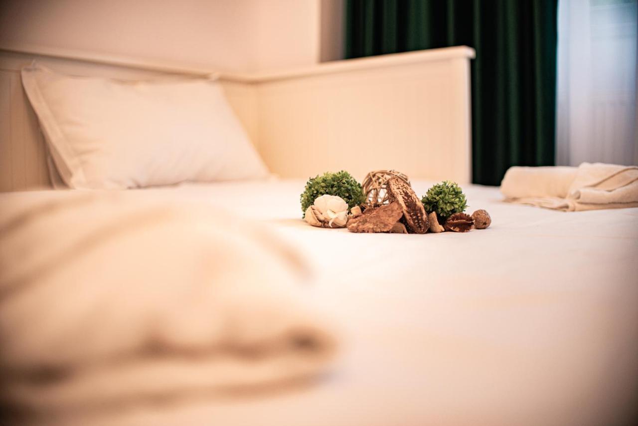 Forest Therapy Suite - Sub Padure Grand Comfort 브라쇼브 외부 사진